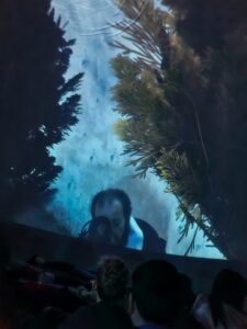 hdimga5a52403c1885d2703ddbd35edfadf