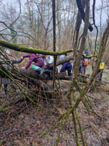 hdimg1362240053936ce2ad964c2c89ed8f