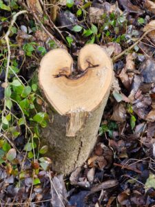 hdimgce9acb90cad32822e4d64320d1da2d