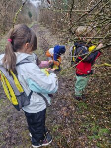 hdimgcf336478fd8d91aba695a8feb13c8f