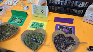 hdimg61c98334a4bdb862bf73624dff9f22