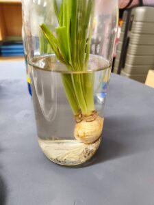 hdimg9e0292f27d4d7b3600fb95d8c1be35