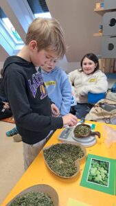 hdimgac69c0cc9e4e06166c47dc6c85b77e