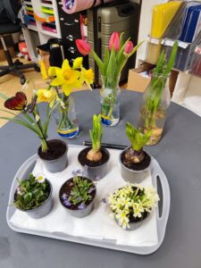 hdimgde64cdcc8786508ae474938c994125