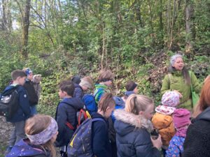 hdimg1f4ea795bfcabc577248fe1975e6dc