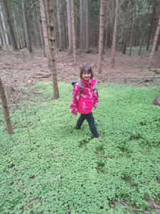 hdimg8a1bd3dc1ca8234369d2b71677d8b4