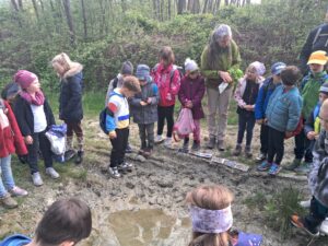 hdimgc720d8eae4b6a9f006fa79ce15e99b