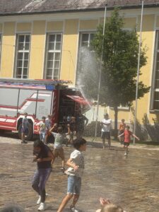 IMG_6529