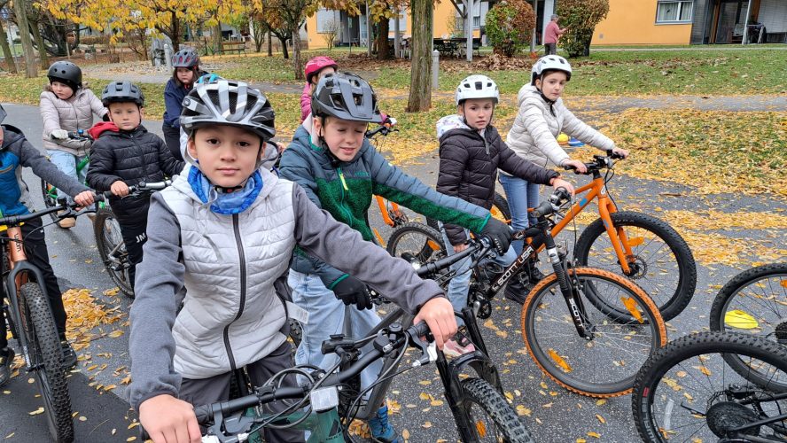 hdimg397e1f103c7407edd999e0d9bbcda5